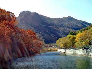 新澳天天开奖资料大全旅游团，人皮夹克